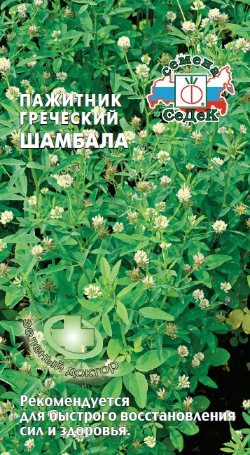 Пажитник греческий Шамбала (Седек) Ц