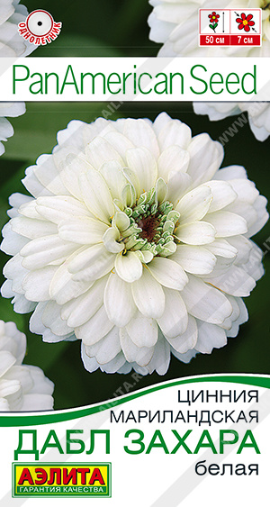 Цинния Дабл Захара белая (Аэлита) Ц