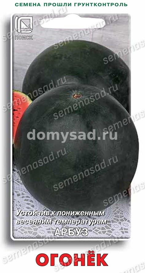 Арбуз Огонек (Поиск) Ц