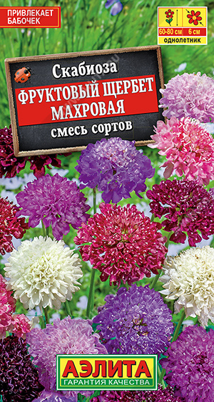 Скабиоза Фруктовый шербет махр.смесь (Аэлита) Ц