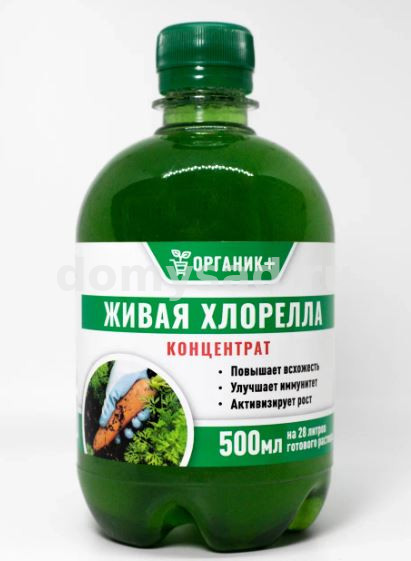 Суспензия Хлореллы, концентрат 0,5л/18 (Органик+)