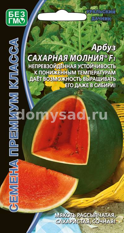 Арбуз Сахарная Молния ПРЕМИУМ (Уральский дачник) Ц