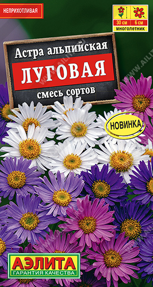 Астра альпийская ЛУГОВАЯ, смесь сортов 25-30см. (Аэлита) Ц