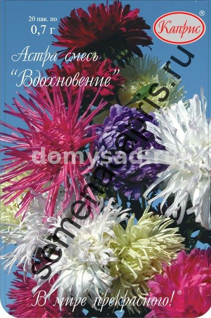 Астра Смесь Вдохновение п.2114 НАБОР 20 ПАЧЕК (Каприс)