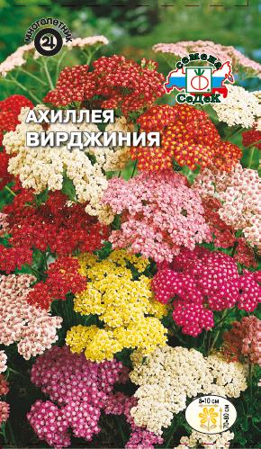 Ахиллея Вирджиния смесь(Тысячелистник) (Седек) Ц