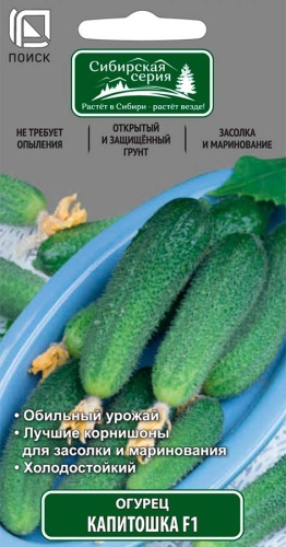 ог.Капитошка F1 (сиб.серия) (Поиск) Ц