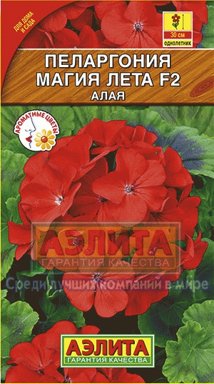 Пеларгония Магия лета F2 алая(Аэлита) Ц