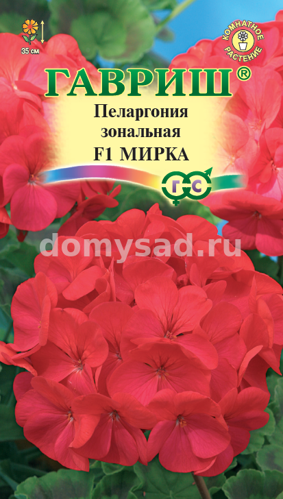 Пеларгония Мирка зональная F1, 4шт. (Гавриш) Ц