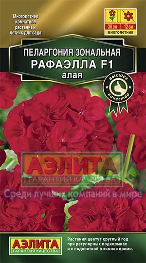 Пеларгония Рафаэлла F1 алая (Аэлита) Ц