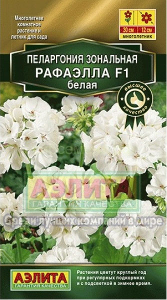 Пеларгония Рафаэлла F1 белая (Аэлита) Ц