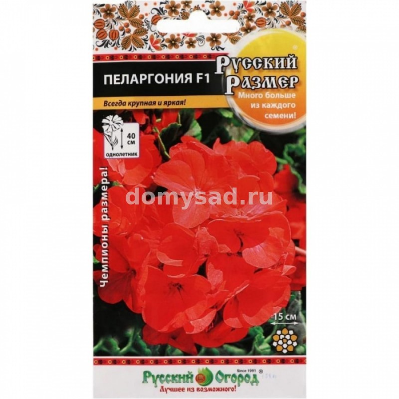 Пеларгония Русский размер 5шт. F1 (НК) Ц