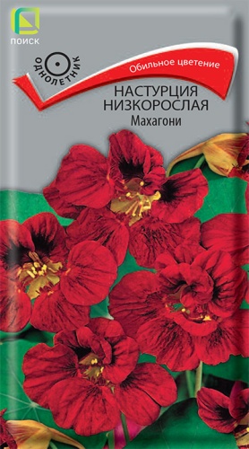 Настурция Махагони низкорослая (Поиск) Ц