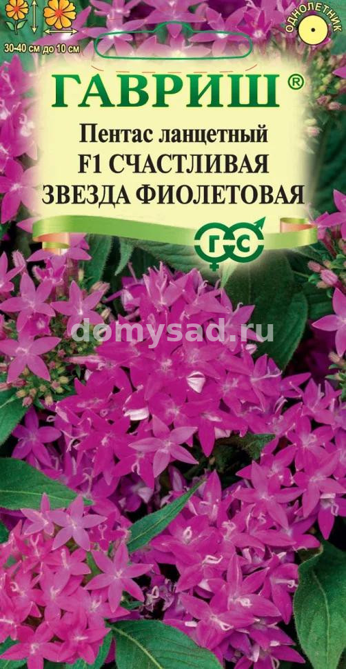 Пентас ланцетный Счастливая звезда фиолетовая, гран.пробирка (Гавриш) Ц