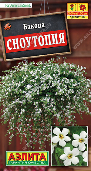 Бакопа Сноутопия (Аэлита) Ц