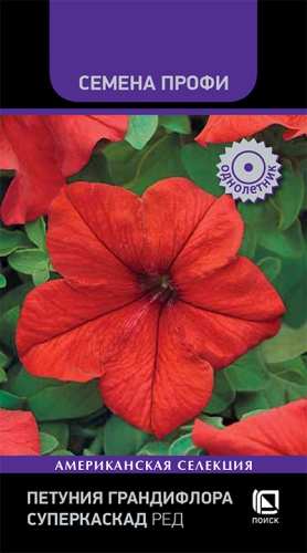 Петуния Суперкаскад Ред, грандифлор. (Поиск) Ц