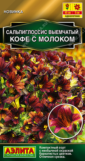 Сальпиглоссис Кофе с молоком (Аэлита) Ц