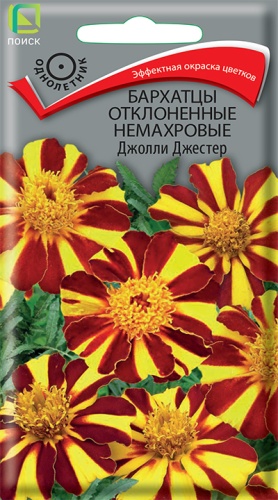 Бархатцы Джолли Джестер немахровые отклоненные (Поиск) Ц