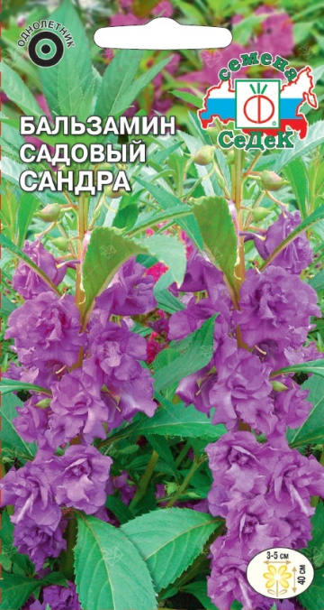 Бальзамин Сандра садовый,лиловый (Седек) Ц