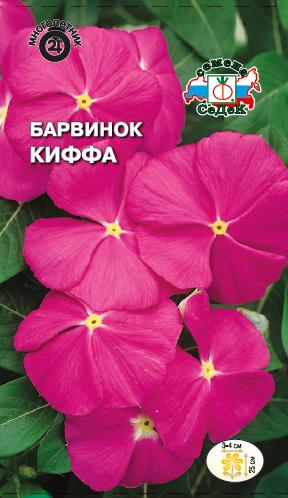 Барвинок Киффа карлик. лилово-розовый (Седек) Ц