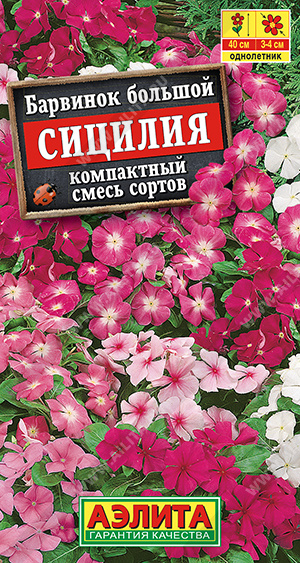 Барвинок Сицилия смесь (Аэлита) Ц