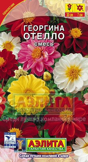 Бархатцы Айсберг белые, крупные, махровые (Цветущий Сад) Ц