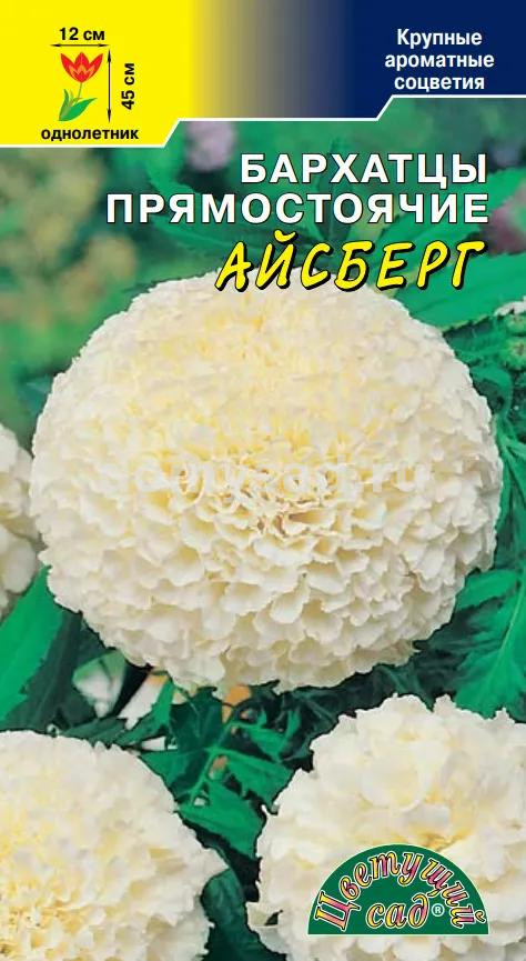 Бархатцы Айсберг белые, крупные, махровые (Цветущий Сад) Ц