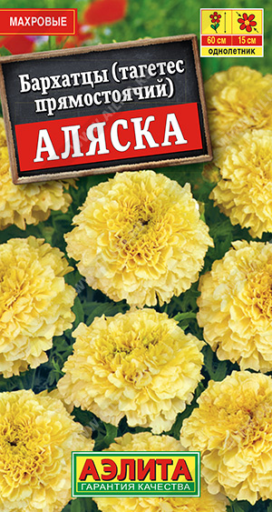 Бархатцы Аляска прямостоячие (Аэлита) Ц