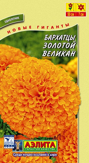 Бархатцы Золотой Великан (Аэлита) Ц