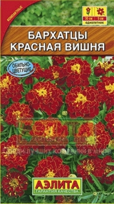 Бархатцы Красная Вишня 20-30 отклоненные (Аэлита) Ц