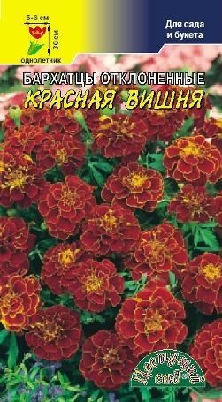 Бархатцы Красная Вишня низкорослые, махровые до 30см.(Цветущий Сад) Ц