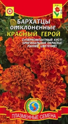 Бархатцы Красный Герой отклоненные 20см (Агроника) Плазменные семена Ц