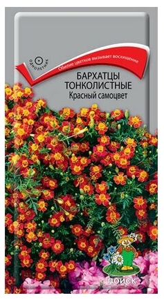 Бархатцы Красный Самоцвет тонколистные 0,1 гр. (Поиск) Ц