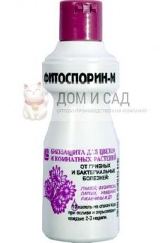 Перчатки AVIORA Эластомерные (одноразовые) размер L (100шт.) ЦЕНА ЗА УПАКОВКУ!!!