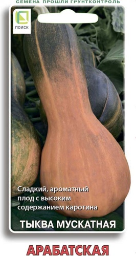 Тыква мускатная Арабатская (Поиск) Ц