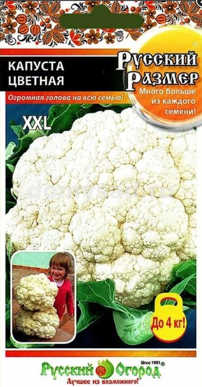 кап.цветная Русский размер F1 30шт. (НК) Ц