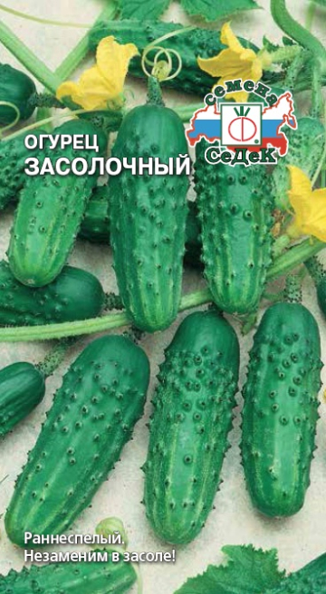 ог.Засолочный (Седек) Ц