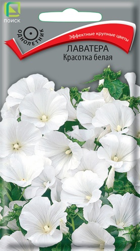 Лаватера Красотка белая (Поиск) Ц
