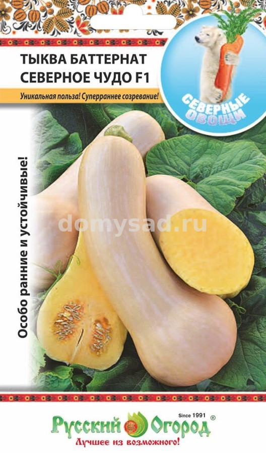 Тыква Баттернат Северное чудо F1 (С.О.) 5 шт. (НК) Ц