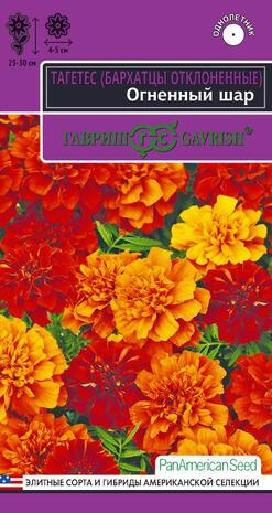 Бархатцы Огненный Шар хамелеон 5шт. серия Эксклюзив 25-30см. (Гавриш) Ц