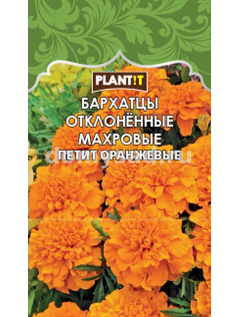Бархатцы отклоненные Петит Оранжевые (PLANT!T) Ц