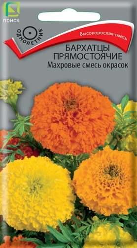 Бархатцы Смесь окрасок прямостоячие махровые (Поиск) Ц