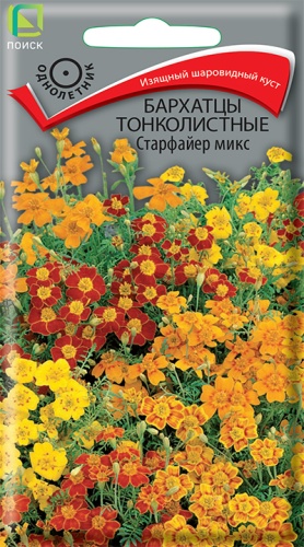 Бархатцы Старфайер микс тонколистные (Поиск) Ц