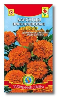 Бархатцы Танжер отклоненные 30 см. (Плазменные семена) Ц