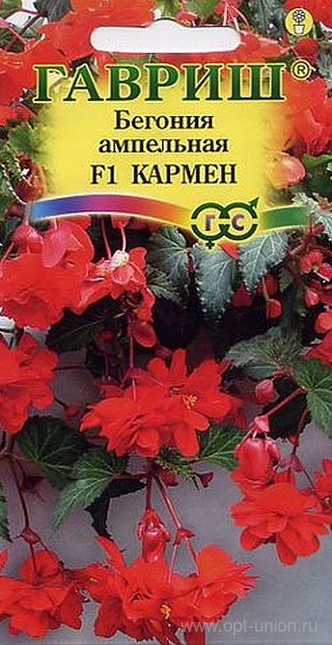 Бегония Кармен F1 клубневая, ампельная гранул. 5шт. пробирка (Гавриш) Ц