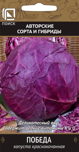 кап.Победа к/к (Поиск) Ц