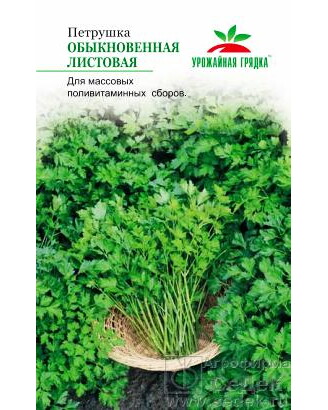 Петрушка ЛИСТОВАЯ Обыкновенная Урожайная грядка (Седек) Ц