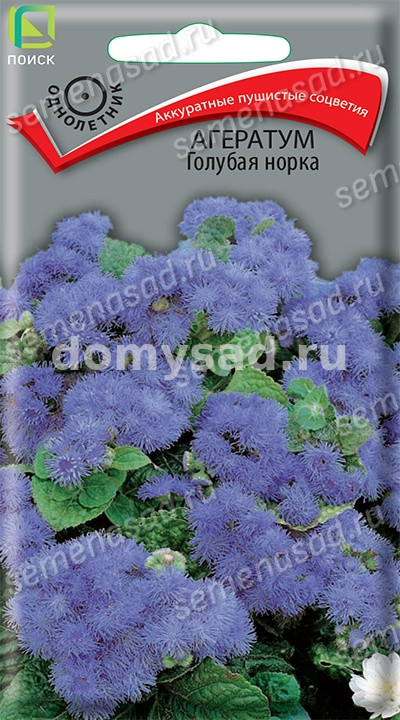 Агератум Голубая норка (Поиск) Ц
