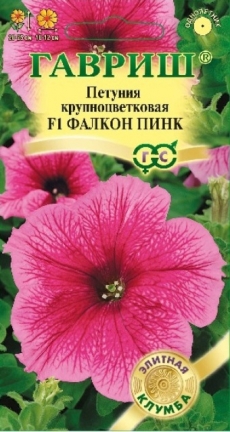 Бересклет Бунге (Гавриш) Ц
