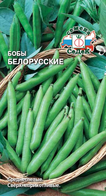 Бобы Белорусские (Седек) Ц