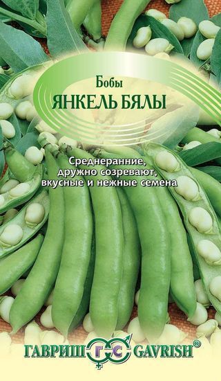 Бобы Янкель Бялы (Белые) (Гавриш) Ц